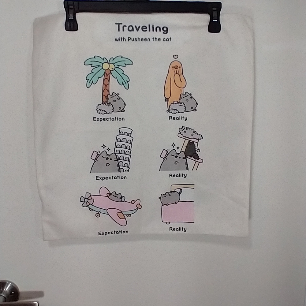 Pusheen the Cat Pillowcases Cover 17"×17" ,Set Of 2 Excellent Condition